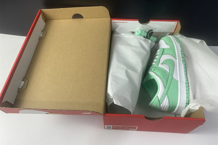 Nike Dunk Low DD1503-105