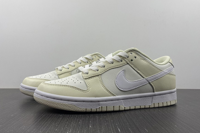 Nike Dunk Low Retro