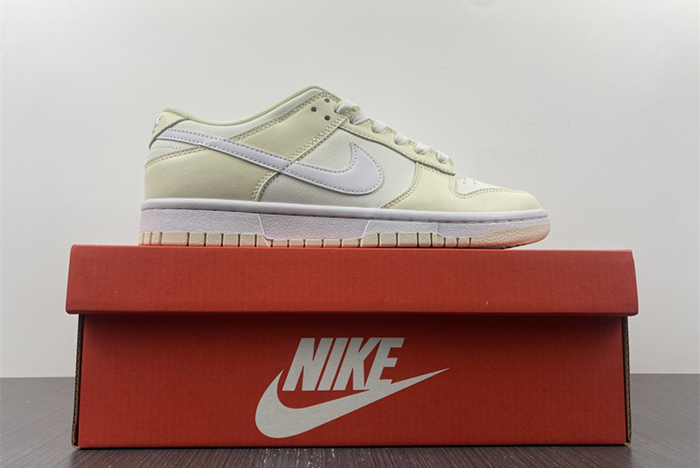 Nike Dunk Low Retro