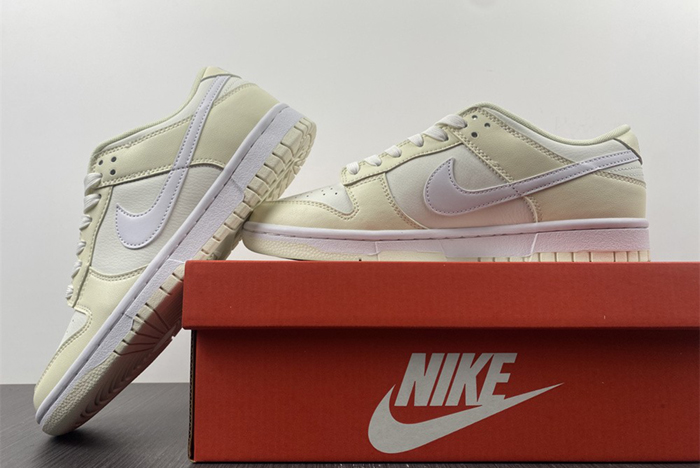 Nike Dunk Low Retro