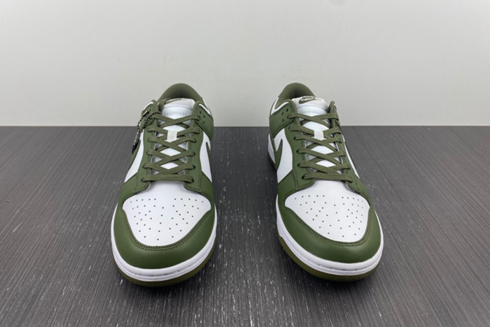 NikeDunk Low  Medium Olive DD1503-120