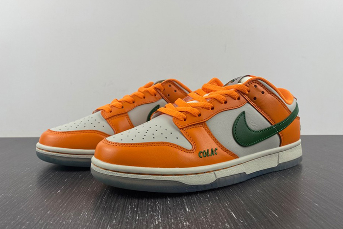 NIKE SB Dunk low FAMU DR6188-800