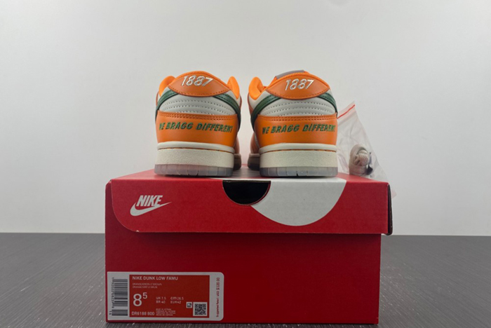 NIKE SB Dunk low FAMU DR6188-800
