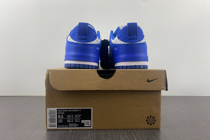 Nike Dunk Low Disrupt2 Blue DH4402-001