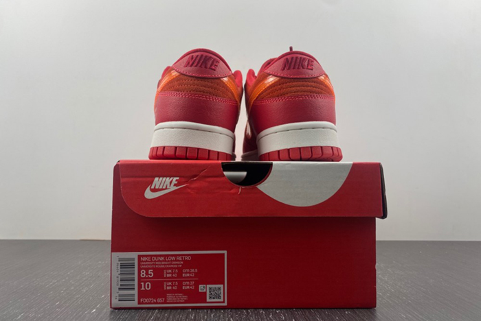 Nike Dunk Low ATL - FD0724-657