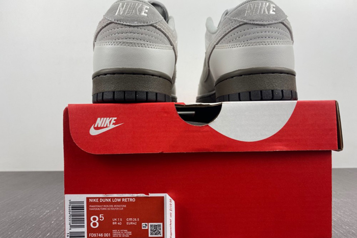 Nike Dunk Low Ironstone - FD9746-001