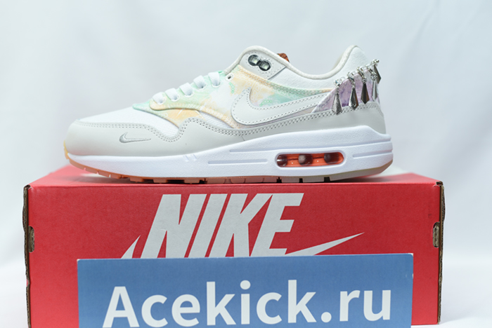 Nike Air Max 1 SNKRS FJ7734-101
