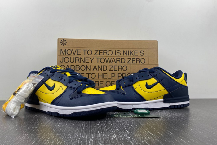 Nike Dunk Low Disrupt 2 