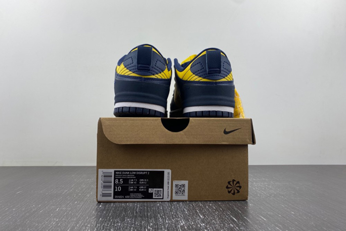 Nike Dunk Low Disrupt 2 