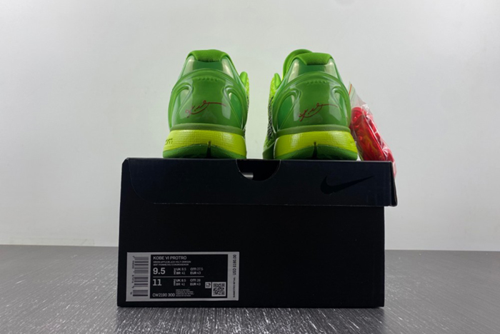 Zoom Kobe 6 Protro 