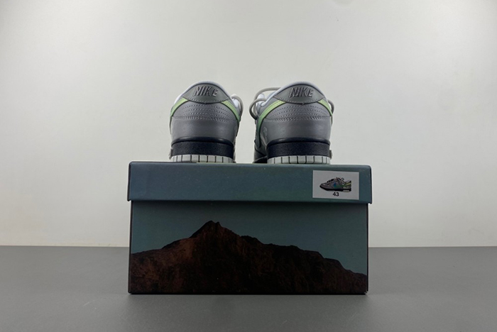 Nike Dunk LOW  DV0831-101