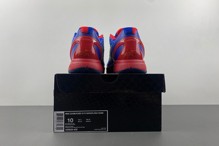Zoom Kobe 6 