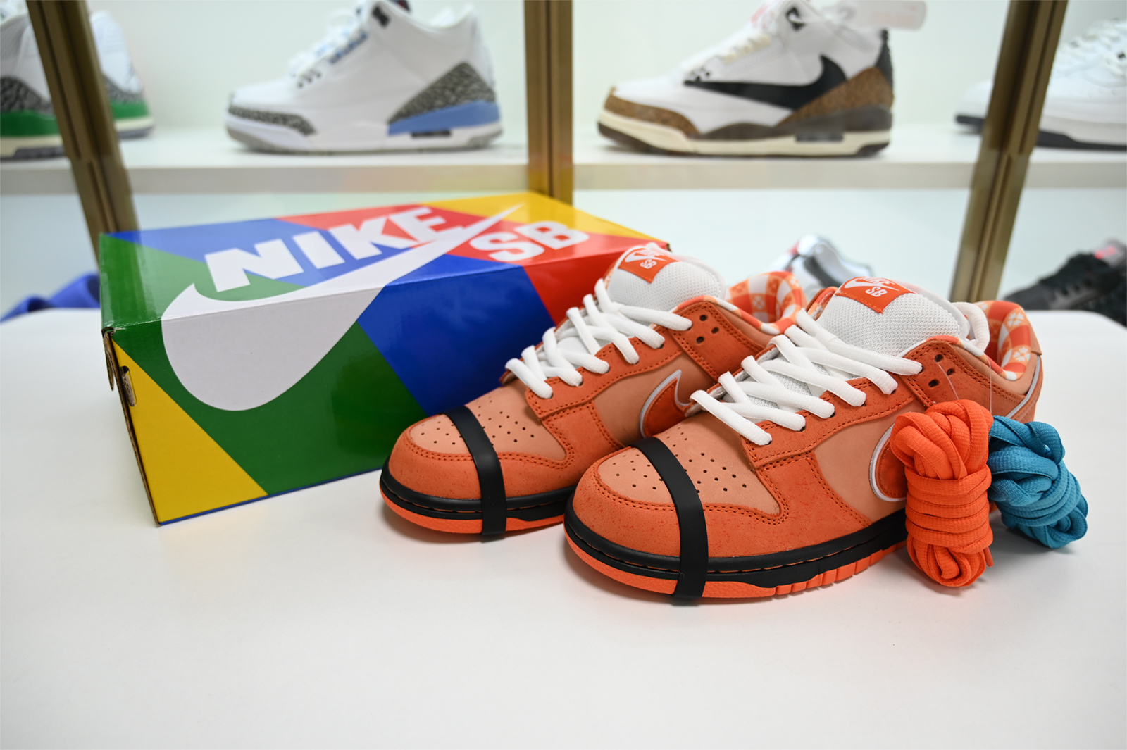 Concepts x Nike SB Dunk Low FD8776-800