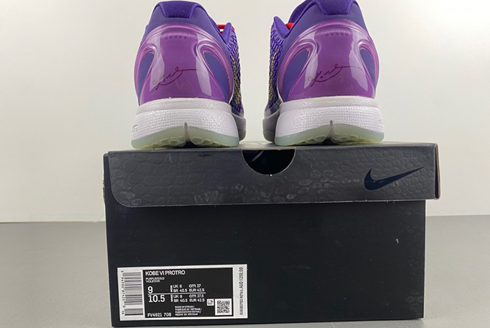 Nike Kobe 6 Protro